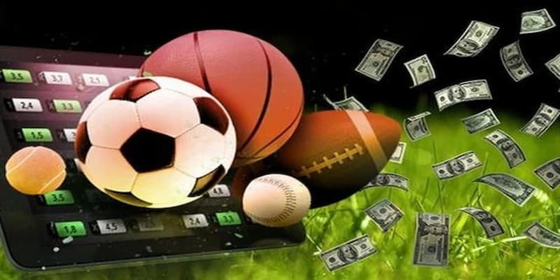 Thể thao Iwin Được phát triển bởi hệ sinh thái IWIN